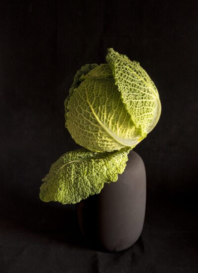 "Kool op zwarte vaas"- Foto op Dibond - 50 x 75 cm - Mirjam Poldermans